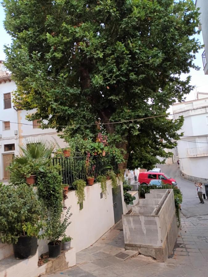 Apartamento El Pilar Guejar-Sierra Εξωτερικό φωτογραφία